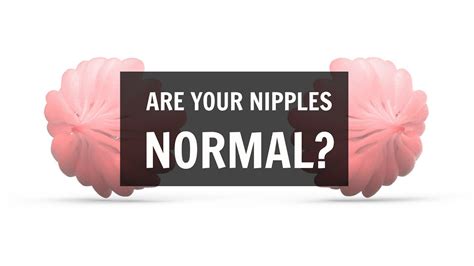 are big nipples normal